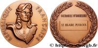FRANCE Médaille d’honneur, Saint-Hilaire-Peyroux VILLES 19 - Saint-Hilaire-Peyroux n.d. (70mm, 181,07g, 12h) -