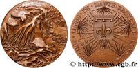 FRANCE Médaille, Conseil général des Alpes de Haute-Prove CONSEIL GÉNÉRAL, DÉPARTEMENTAL OU MUNICIPAL - CONSEILLERS Monnaie de Paris 1981 (68,5mm, 185,47g, 12h) -