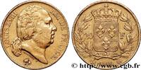 FRANCE 20 francs or Louis XVIII, tête nue LOUIS XVIII Perpignan 1819 (21mm, 6,37g, 6h) -