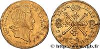FRANCE Louis d’or aux insignes LOUIS XIV THE SUN KING Bordeaux s.m. (26mm, 6,68g, 6h) -