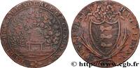 BRITISH TOKENS OR JETTONS 1/2 Penny Winchelsea (Sussex) BRITISH TOKENS OR JETTONS 1794 (29mm, 9,61g, 6h) -