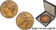 FRANCE Médaille de récompense, Exposition Universelle Int EXPOSITIONS UNIVERSELLES 75 - Paris 1878 (67,5mm, 137,80g, 12h) -