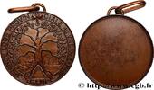 FRANCE Médaille, Grande Loge Provinciale du Val de Loire FRANC - MAÇONNERIE Monnaie de Paris 1974 (59,5mm, 81,17g, 12h) -