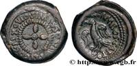 FRANCE Bronze aux Vercobrets ou semis LEXOVII (Area of Lisieux) c. 40 AC. (20mm, 8,63g, h) -