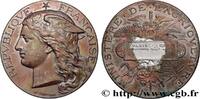 FRANCE Médaille, Concours général agricole AGRICULTURE 75 - Paris 1893 (51mm, 61,01g, 12h) -