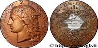 FRANCE Médaille, Concours régional agricole AGRICULTURE 76 - Rouen 1892 (51mm, 60,21g, 12h) -