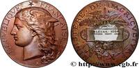 FRANCE Médaille, Concours régional agricole AGRICULTURE 45 - Orléans 1894 (50mm, 58,75g, 12h) -
