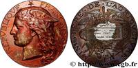 FRANCE Médaille, Concours général agricole, volailles viv AGRICULTURE 75 - Paris 1887 (50mm, 54,76g, 12h) -