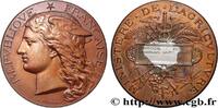 FRANCE Médaille, Concours régional agricole AGRICULTURE 76 - Rouen 1892 (51mm, 60,03g, 12h) -