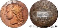 FRANCE Médaille, Concours général agricole, volailles viv AGRICULTURE 75 - Paris 1883 (51mm, 61,07g, 12h) -
