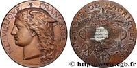 FRANCE Médaille, Concours régional agricole AGRICULTURE 78 - Versailles 1891 (51mm, 57,59g, 12h) -