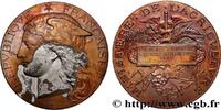 FRANCE Médaille, Concours universel d’animaux reproducteu AGRICULTURE 1900 (50mm, 60,03g, 12h) -