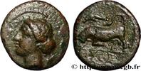 Hellenistic 1 (323 BC to 188 BC) Litra SICILY - SYRACUSE Syracuse, Sicile c. 317-310 AC. (15,5mm, 3,21g, 7h) -