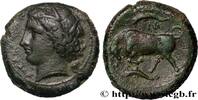 Hellenistic 1 (323 BC to 188 BC) Litra SICILY - SYRACUSE Syracuse, Sicile c. 317-310 AC. (22,5mm, 10,70g, 3h) -