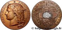 FRANCE Médaille, Concours régional d’agriculture, espèce AGRICULTURE 80 - Amiens 1890 (51mm, 58,69g, 12h) -