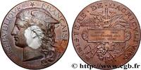 FRANCE Médaille, Concours régional d’agriculture, espèce AGRICULTURE 80 - Amiens 1890 (51mm, 58,42g, 12h) -