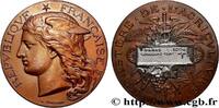FRANCE Médaille, Concours général agricole AGRICULTURE 75 - Paris 1894 (51mm, 61,66g, 12h) -