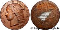 FRANCE Médaille, Concours régional agricole AGRICULTURE 78 - Versailles 1891 (51mm, 59,10g, 12h) -