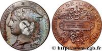 FRANCE Médaille, Concours général agricole, volailles viv AGRICULTURE 75 - Paris 1883 (51mm, 58,39g, 12h) -