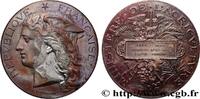 FRANCE Médaille, Concours régional agricole, espèce porci AGRICULTURE 02 - Laon 1888 (51mm, 57,81g, 12h) -