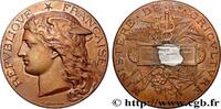 FRANCE Médaille, Concours régional agricole AGRICULTURE 28 - Chartres 1896 (51mm, 59,87g, 12h) -