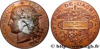 FRANCE Médaille, Exposition universelle, espèce porcine AGRICULTURE 1889 (51mm, 55,24g, 12h) -