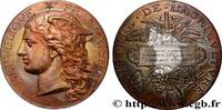FRANCE Médaille, Concours général agricole, volailles viv AGRICULTURE 75 - Paris 1884 (51mm, 58,39g, 12h) -