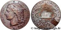 FRANCE Médaille, Concours général agricole AGRICULTURE 75 - Paris 1894 (51mm, 60,73g, 12h) -