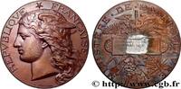 FRANCE Médaille, Concours général agricole AGRICULTURE 75 - Paris 1894 (51mm, 57,81g, 12h) -