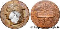 FRANCE Médaille, Concours régional agricole, espèce porci AGRICULTURE 02 - Laon 1888 (51mm, 57,67g, 12h) -