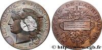 FRANCE Médaille, Concours régional agricole, espèce porci AGRICULTURE 02 - Laon 1888 (51mm, 57,67g, 12h) -