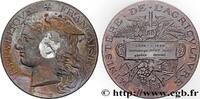 FRANCE Médaille, Concours régional agricole, espèce bovin AGRICULTURE 02 - Laon 1888 (51mm, 55,46g, 12h) -