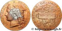 FRANCE Médaille, Concours régional agricole AGRICULTURE 08 - Charleville-Mézières 1898 (50,5mm, 59,99g, 12h) -
