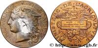 FRANCE Médaille, Concours régional agricole, animaux de b AGRICULTURE 77 - Melun 1887 (51mm, 59,09g, 12h) -