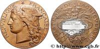 FRANCE Médaille, Concours régional agricole AGRICULTURE 89 - Auxerre 1893 (51mm, 59,34g, 12h) -