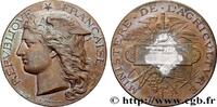 FRANCE Médaille, Concours régional agricole AGRICULTURE 89 - Auxerre 1893 (50,5mm, 59,59g, 12h) -