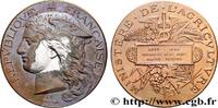 FRANCE Médaille, Concours régional agricole, espèce porci AGRICULTURE 02 - Laon 1888 (51mm, 56,37g, 12h) -