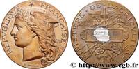 FRANCE Médaille, Concours régional agricole AGRICULTURE 89 - Auxerre 1893 (50,5mm, 60,04g, 12h) -