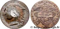 FRANCE Médaille, Concours général agricole, espèce porcin AGRICULTURE 75 - Paris 1887 (50,5mm, 56,43g, 12h) -