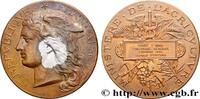 FRANCE Médaille, Concours général d’animaux gras, espèce AGRICULTURE 75 - Paris 1884 (51mm, 61,70g, 12h) -