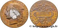 FRANCE Médaille, Concours général agricole AGRICULTURE 75 - Paris 1893 (50,5mm, 53,47g, 12h) -