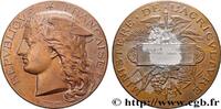 FRANCE Médaille, Concours général agricole AGRICULTURE 75 - Paris 1893 (50,5mm, 53,34g, 12h) -