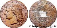 FRANCE Médaille, Concours régional agricole AGRICULTURE 45 - Orléans 1894 (51mm, 59,68g, 12h) -