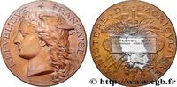 FRANCE Médaille, Concours régional agricole AGRICULTURE 45 - Orléans 1894 (51mm, 59,43g, 12h) -