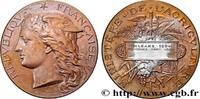 FRANCE Médaille, Concours régional agricole AGRICULTURE 45 - Orléans 1894 (51mm, 59,38g, 12h) -