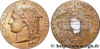 FRANCE Médaille, Concours régional agricole AGRICULTURE 51 - Reims 1895 (50,5mm, 59,25g, 12h) -