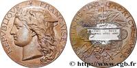 FRANCE Médaille, Concours régional agricole AGRICULTURE 51 - Reims 1895 (50mm, 57,89g, 12h) -