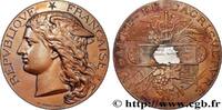 FRANCE Médaille, Concours régional agricole AGRICULTURE 51 - Reims 1895 (50mm, 54,39g, 12h) -