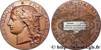 FRANCE Médaille, Concours régional d’agriculture, animaux AGRICULTURE 80 - Amiens 1890 (50mm, 56,20g, 12h) -