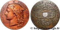 FRANCE Médaille,Concours régional agricole, espèce bovine AGRICULTURE 60 - Beauvais 1885 (51mm, 59,78g, 12h) -